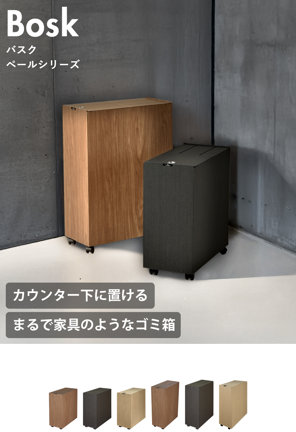 活動歴および当時の関連ビジュアル記録