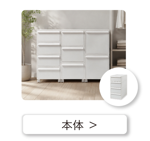 本体