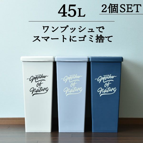 スライドペール45L 2個セット | インテリア雑貨・ゴミ箱 | モノ