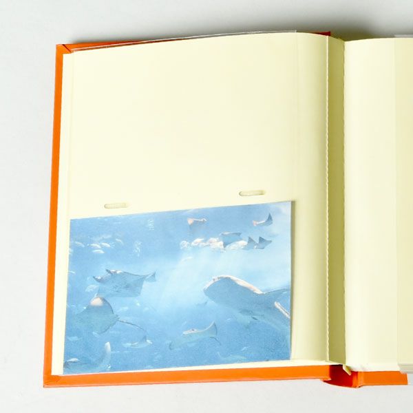 マークス コルソグラフィア コレクションアルバム・アニマル 6冊セット | フォトアルバム