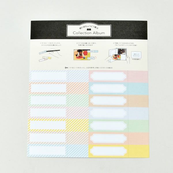 マークス コルソグラフィア コレクションアルバム・アニマル 6冊セット | フォトアルバム