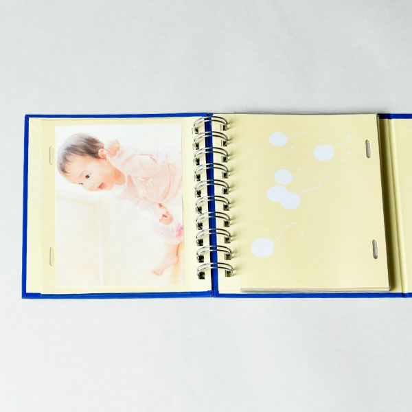 マークス コルソグラフィア コレクションアルバム・アニマルこども 6冊セット | フォトアルバム