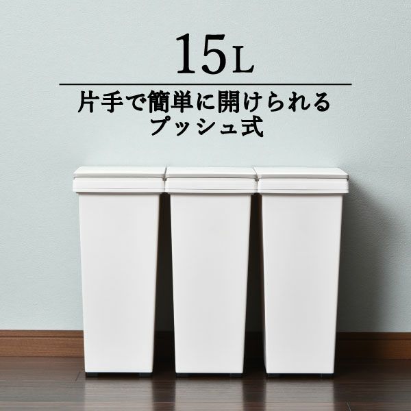 アスベル エバンプッシュペール 15L | インテリア雑貨・ゴミ箱