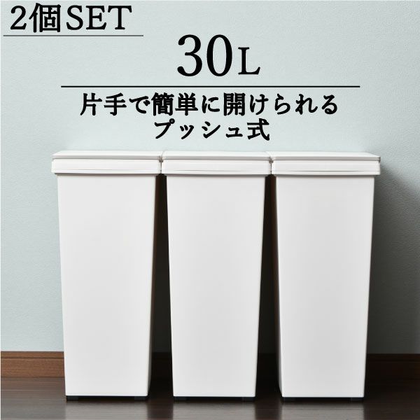 アスベル エバンプッシュペール 30L 2個セット | インテリア雑貨・ゴミ箱