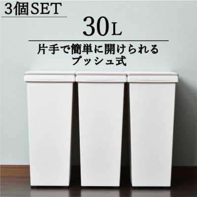 エバンプッシュペール 30L 3個セット | インテリア雑貨・ゴミ箱