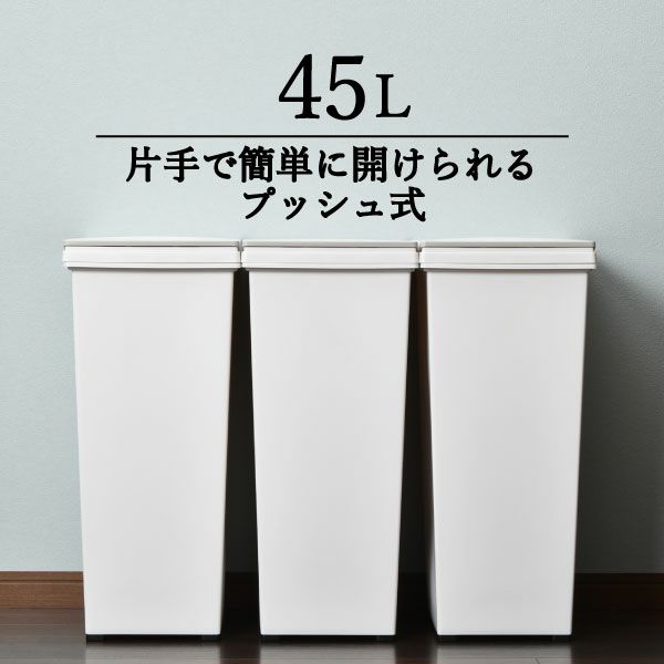 アスベル エバンプッシュペール 45L | インテリア雑貨・ゴミ箱