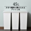 アスベル エバンプッシュペール 45L | インテリア雑貨・ゴミ箱