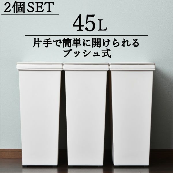 エバンプッシュペール 45L 2個セット | インテリア雑貨・ゴミ箱 | モノ