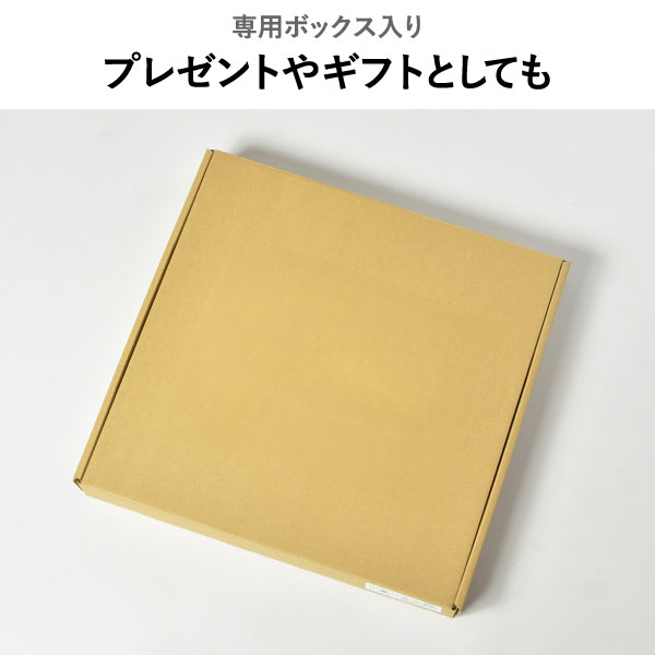 George Nelson ジョージ・ネルソン フェリス・ウォール・クロック | インテリア雑貨・掛け時計