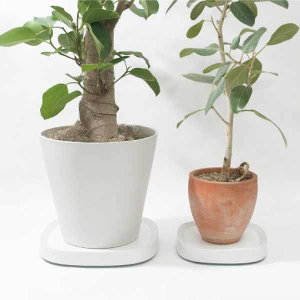 tidy プランタブル | インテリア雑貨・鉢受け皿 | モノギャラリー