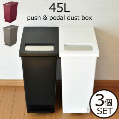 ユニード プッシュ＆ペダルペール 45L 2個セット | インテリア雑貨