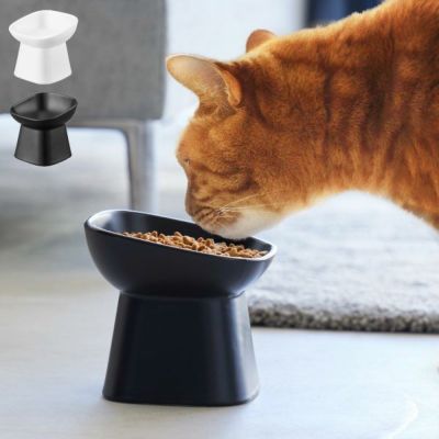 山崎実業 食べやすい高さ陶器ペットフードボウル タワー 斜めトール tower | インテリア雑貨・タワーシリーズ