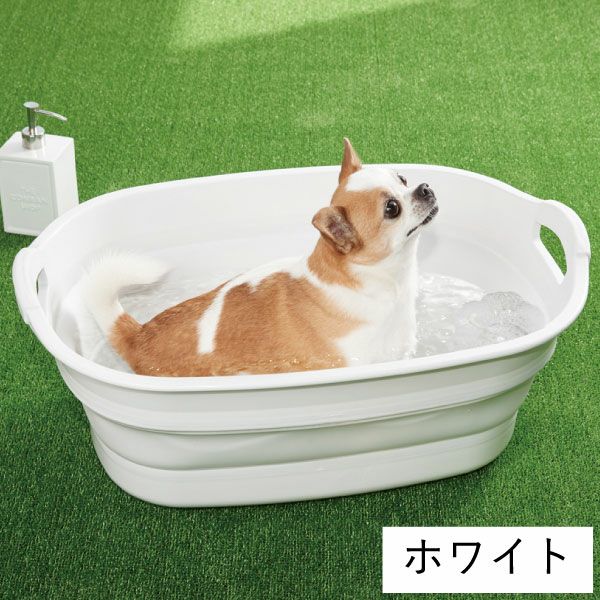 伊勢藤 ソフトタブ iseto |バスグッズ・収納