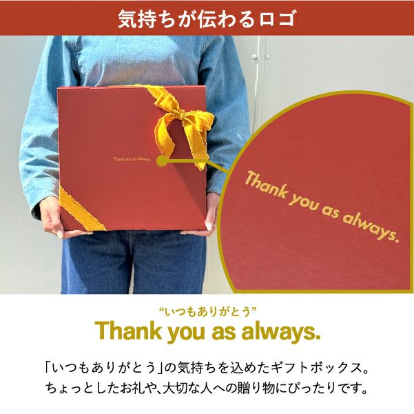 COSTA NOVA コスタノバ ボウルセット | キッチン雑貨・食器