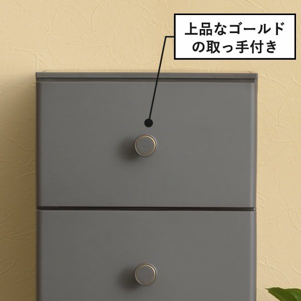  squ+ ルームスコンベッソ 344 | インテリア雑貨・収納ボックス