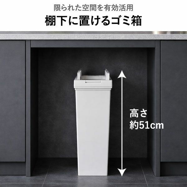 ASVEL アスベル 両開きダストボックス 20L | インテリア雑貨・ゴミ箱
